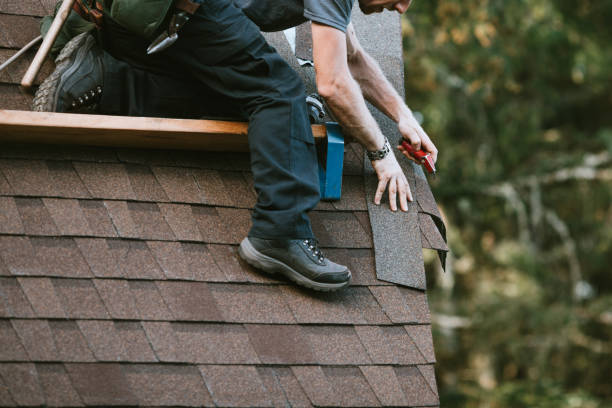 Best Roof Maintenance and Cleaning  in Elon, NC